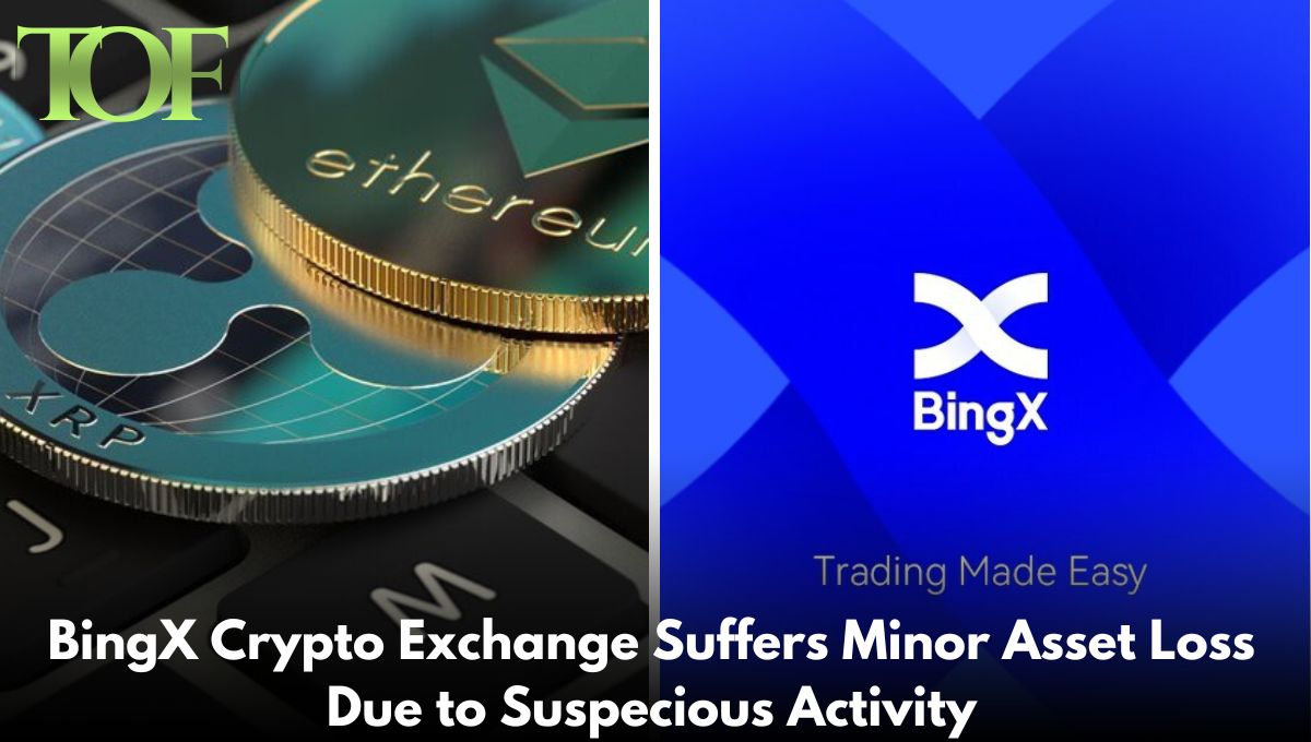 BingX, Crypto Exchange, Asset Loss