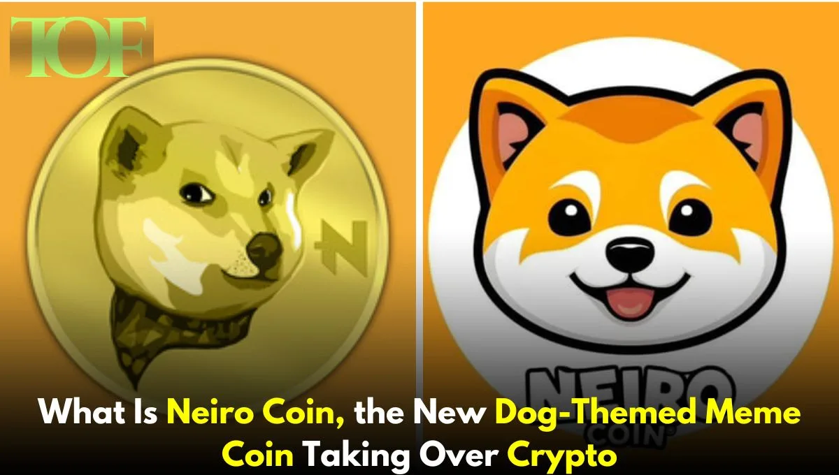 Official Images of NEIRO Coin