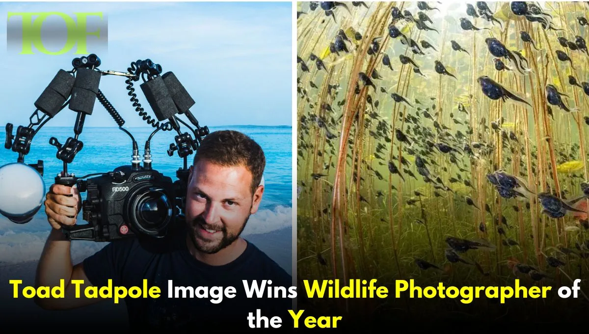 Images of Toad Tadpole and Shane Gross