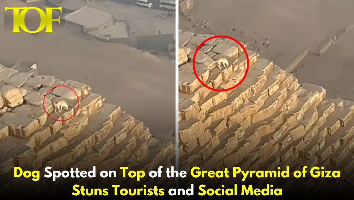 Images of Great Pyramid of Giza