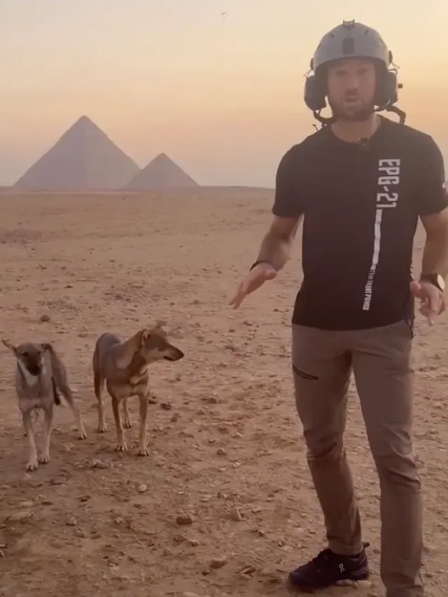 Dog Spotted on top of Great Pyramid of Giza