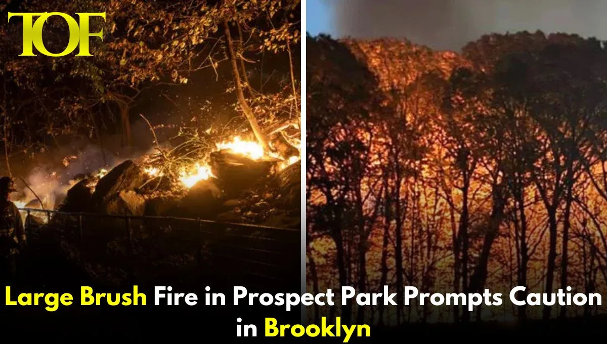 Images of Brush Fire in Prospect Park