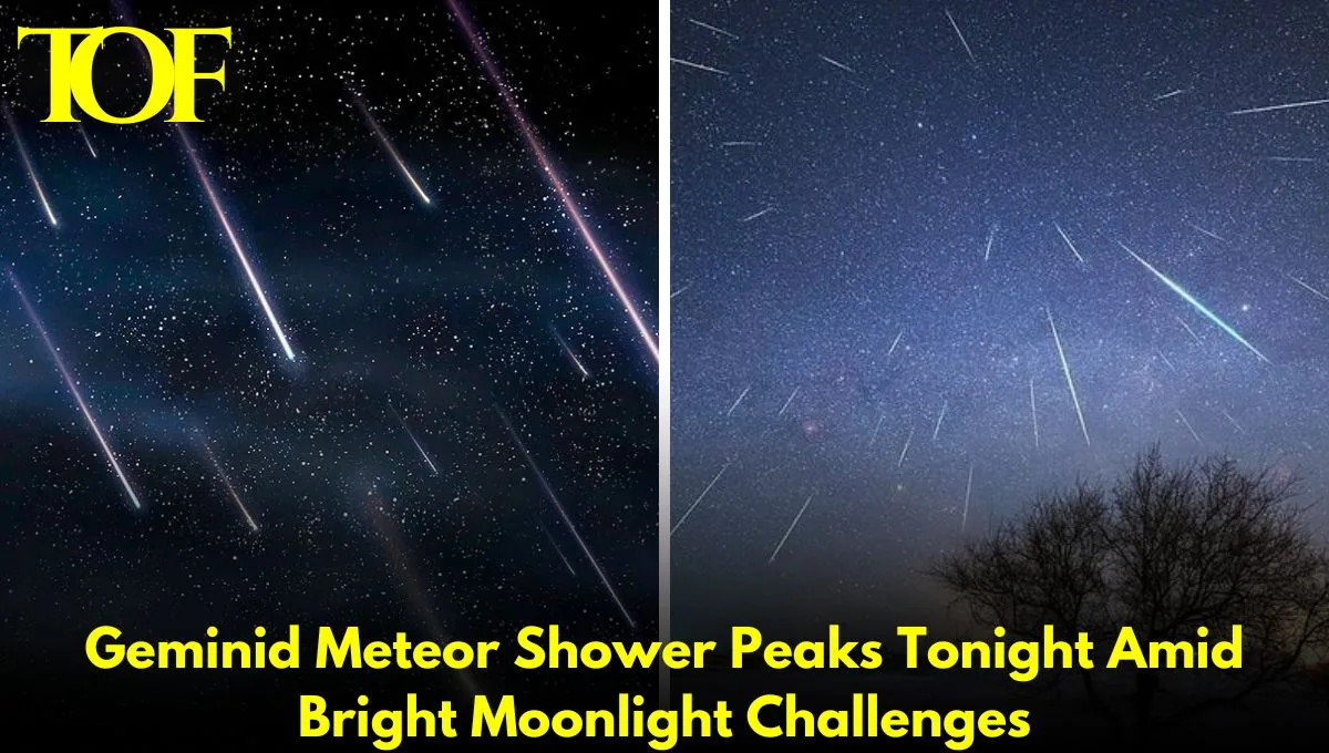 Images of Geminid Meteor Shower