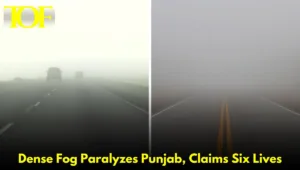 Images of Dense Fog