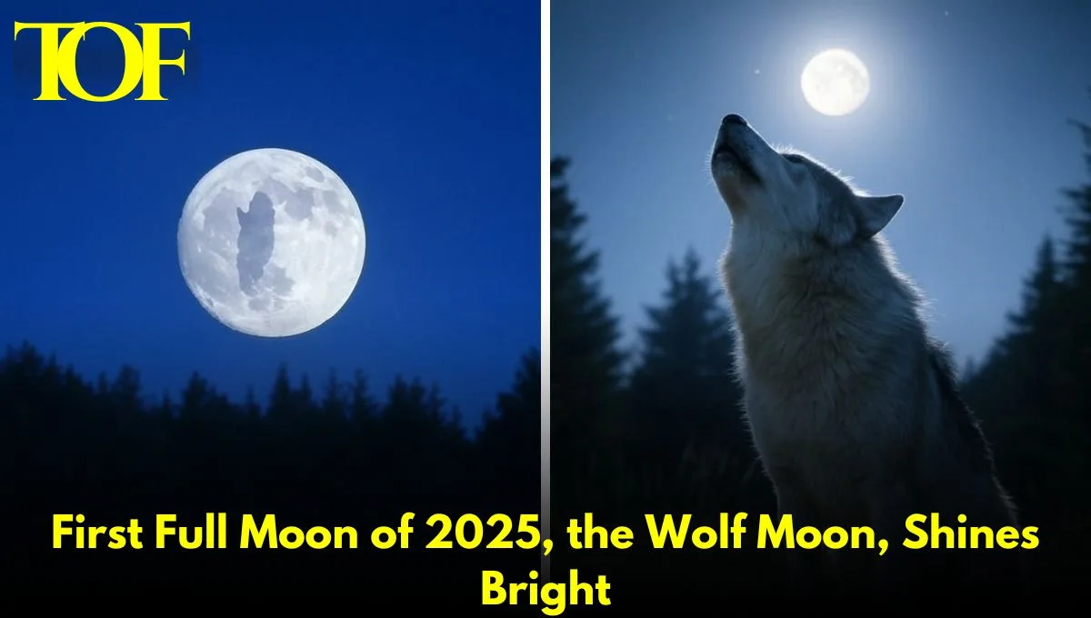 Images of Wolf Moon