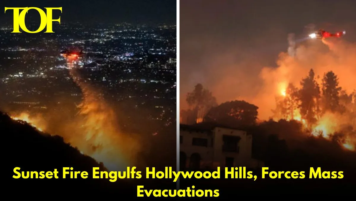 Images of Sunset Fire Engulfs Hollywood Hills