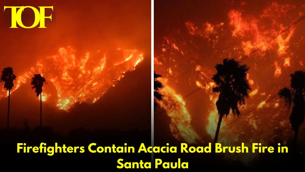 Images of Fire in Santa Paula